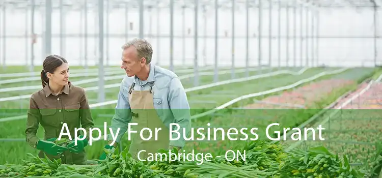 Apply For Business Grant Cambridge - ON